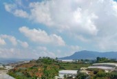 Sos Sos - Bán gấp Đất biệt thự rộng view thoáng đường Phước Thành, Đà Lạt 965m2 giá chỉ 15.6 tỷ